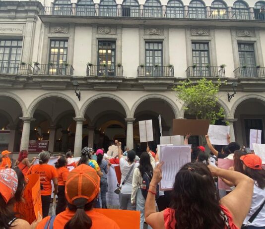 Activistas denuncian abandono en políticas de protección animal en Xalapa