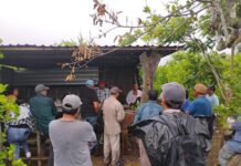 Productores de Misantla, San Rafael y Nautla exigen rehabilitación urgente de caminos rurales
