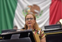 Impulsan reforma constitucional en materia de no reelección y nepotismo electoral