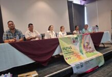 Álamo le apuesta a la cultura para transformarse