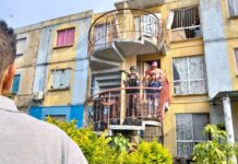 Con denuncia ante la Fiscalía, interviene Ayuntamiento de Veracruz en caso de presunto maltrato animal en Sotavento