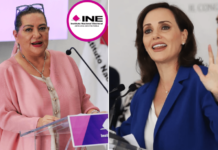 Acusan a presidenta del INE de corrupción; asignó contrato de 65 mdp a empresa de sus hijos