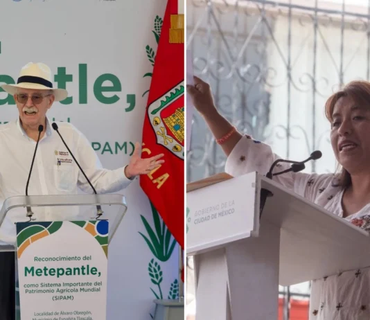 Sheinbaum nombra a Columba López como nueva titular de Sader tras salida de Berdegué