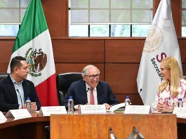 Creará Ssa 5 mil 161 plazas para parteras