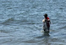 Dará Gobierno del Estado 4 mil pesos a 20 mil pescadores afectados por derrame de hidrocarburo