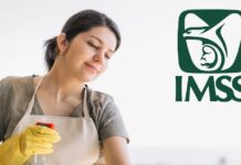 Sólo el 2% de los 2.3 millones de personas trabajadoras del hogar están afiliadas al IMSS