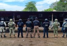 Decomisan arsenal, granadas y más de 400 kilos de marihuana en Tierra Blanca