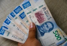 Sancionan por 777 mdp e inhabilitan 10 años a 4 funcionarios de Alimentación para el Bienestar