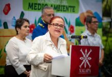 Con jornada de reforestación, conmemora Ayuntamiento Día Mundial del Medio Ambiente