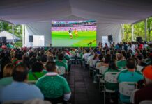 Una crónica mundialista; sin tregua de Tláloc, así vivió Xalapa su pasión por el futbol