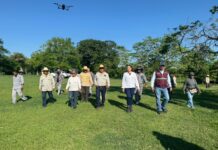 Conagua y autoridades ambientales de Veracruz mantienen operativo de seguimiento por la mortandad de peces en Cosamaloapan