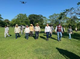 Conagua y autoridades ambientales de Veracruz mantienen operativo de seguimiento por la mortandad de peces en Cosamaloapan