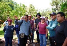 En territorio, Daniela Griego atendió demandas ciudadanas en el Infonavit Sumidero