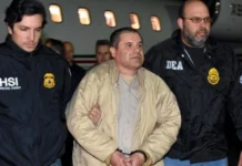 Solicita ‘El Chapo’ Guzmán a un tribunal de EU contactar a Sheinbaum para gestionar su extradición