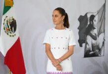 Aseguradora de pensiones beneficiará a todos los trabajadores del Estado, no sólo a CNTE: Sheinbaum