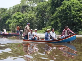 Acusan pescadores de la Cuenca del Papaloapan de ecocidio a planta alcoholera