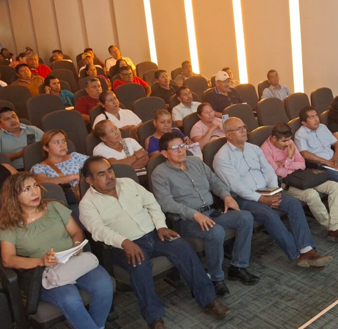 DETERMINAN LAS FACULTADES 1
