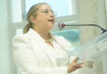 Validan elección de Ana Cristina Ledezma; será la primera mujer en presidir el PAN Veracruz