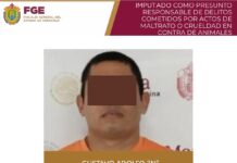 Prisión preventiva contra presunto agresor de canino en Veracruz