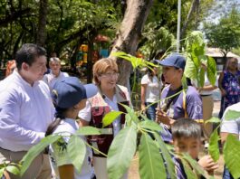 Inicia Ayuntamiento de Veracruz programa de reforestación para fortalecer las áreas verdes de la ciudad