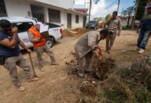 Ayuntamiento de Veracruz brinda respaldo permanente a trabajador de Limpia Pública tras accidente laboral