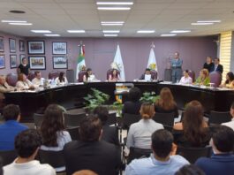 Presenta diputada proyecto de armonización de reforma al Poder Judicial