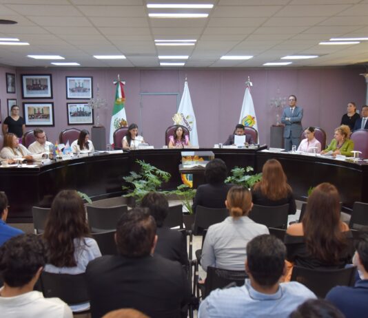 Presenta diputada proyecto de armonización de reforma al Poder Judicial