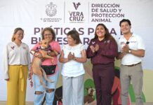 Celebra Ayuntamiento de Veracruz el Día Mundial del Perro con jornada de bienestar animal