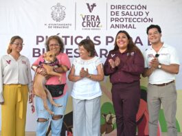 Celebra Ayuntamiento de Veracruz el Día Mundial del Perro con jornada de bienestar animal