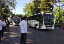 Servicio Urbano de Xalapa incorpora cinco autobuses inclusivos para modernizar el transporte público