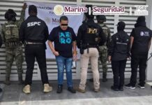 Detienen en Yucatán a empresario operador del Cártel del Noreste y ligado a La Barredora