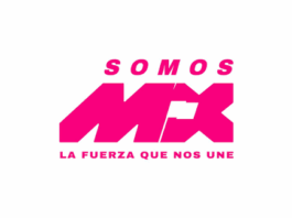 La crisis educativa en la entidad exige capacidad, no cuotas políticas: SomosMx Veracruz