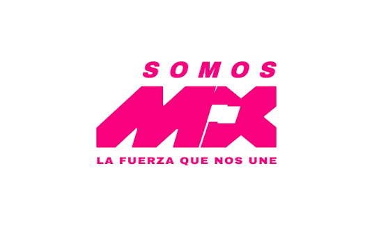 La crisis educativa en la entidad exige capacidad, no cuotas políticas: SomosMx Veracruz