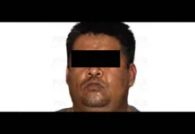 Dan 29 años de prisión al Z-44, fundador de Los Zetas que operó en el sur de Veracruz