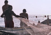 Ampara la Corte a pescadores de Alvarado; ordena a Sheinbaum emitir nuevo reglamento de la Ley de Pesca