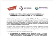 Artículo 19 ¿alianza con la derecha?