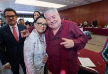 Huerta: Plenaria de Morena definirá prioridades legislativas y fortalecerá la unidad en el Senado