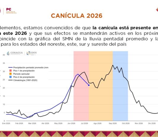 Periodo de canícula incrementa riesgo de incendios forestales y de pastizal en Veracruz