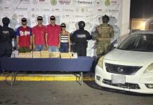Operativos coordinados: 184 dosis aseguradas y dos presuntos integrantes de una célula delictiva detenidos