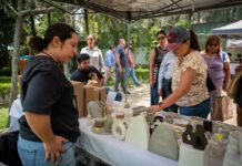 Emprendedores de Xalapa ofrecen sus mejores productos en el Mercadito Bicentenario