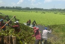 Retira Ayuntamiento de Veracruz más de 100 toneladas de residuos en lagunas de la ciudad