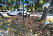 Ayuntamiento exhorta a reportar acumulación de basura y hojarasca para su atención oportuna