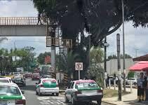 Urgen a SSP liberar paradas de camiones invadidas por taxis en Xalapa