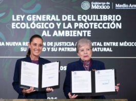 Actualizarán la ley de protección ambiental tras casi cuatro décadas
