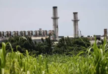 Claman sectores de Los Tuxtlas reabrir el ingenio San Pedro; Rocío Nahle negocia con Grupo Porres