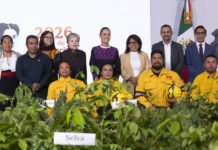 Presidenta presenta la Jornada Nacional de Reforestación 2026; se realizará el 9 de agosto y se plantarán 6.6 millones de árboles y plantas