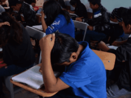 Exhibe prueba PISA fracaso educativo en México; adolescentes retroceden en matemáticas y lectura
