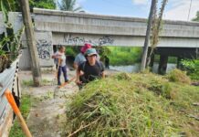 Recupera Ayuntamiento de Veracruz, en coordinación con la ciudadanía, laguna La Colorada
