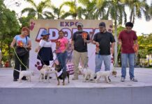 Encuentran hogar todos los caninos de la 17ª edición de la Expo Adopta