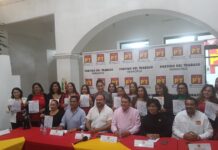 PT fortalece estructura territorial en Veracruz con sectorial de mujeres y prepara organización juvenil